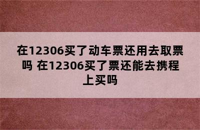 在12306买了动车票还用去取票吗 在12306买了票还能去携程上买吗